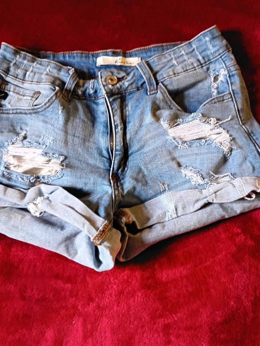 Distressed Short Shorts